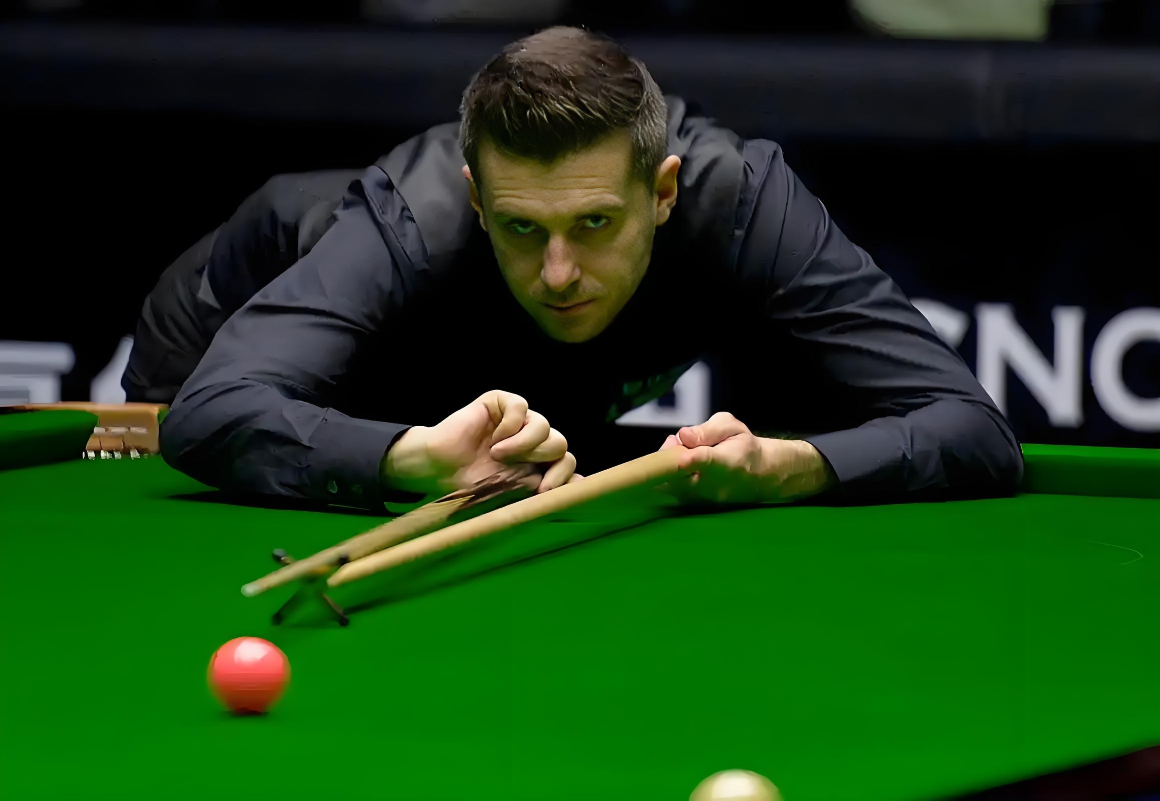 这一观点引 这一观点引